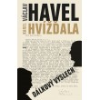 Dálkový výslech