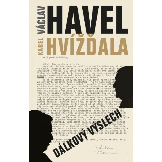 Dálkový výslech