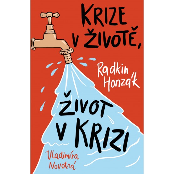 Krize v životě, život v krizi