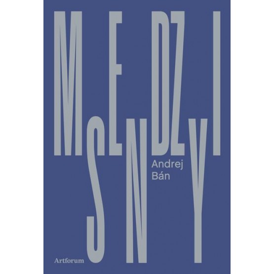 Medzisny