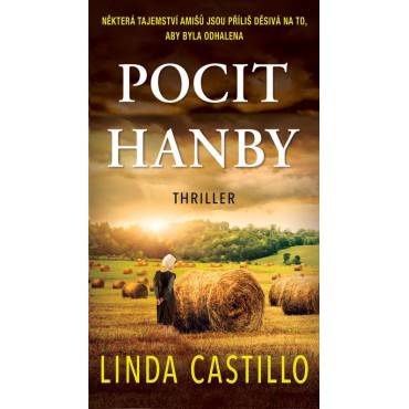 Pocit hanby