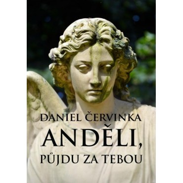 Anděli, půjdu za tebou