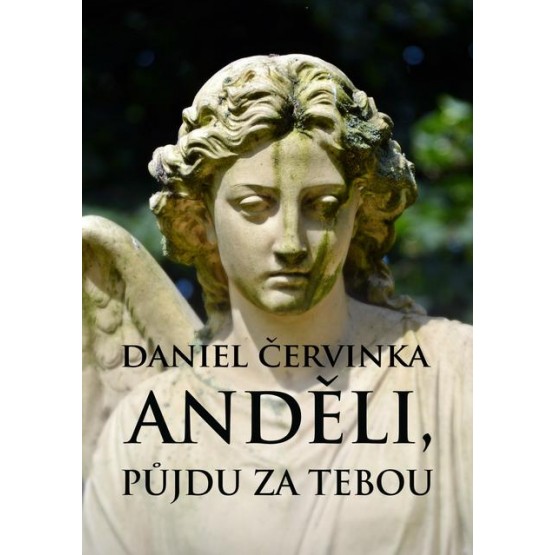 Anděli, půjdu za tebou