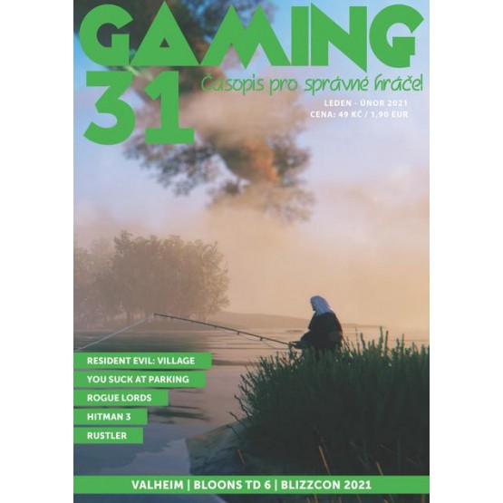 GAMING 31