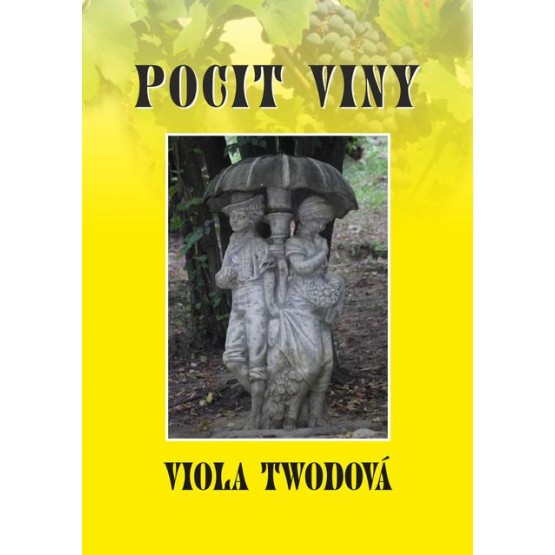Pocit viny