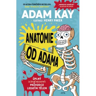 Anatomie od Adama