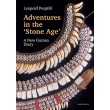 Adventures in the Stone Age