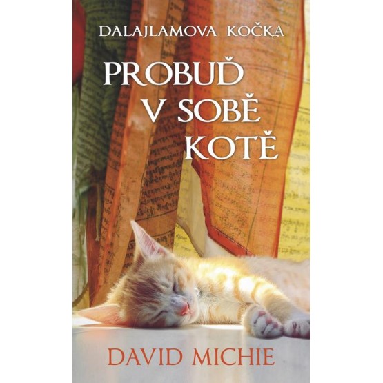Probuď v sobě kotě
