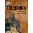 Zřícenina