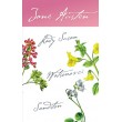 Lady Susan, Watsonovci, Sanditon