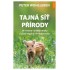 Tajná síť přírody