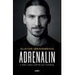 Adrenalin