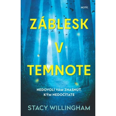 Záblesk v temnote