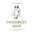 Moudrost koní