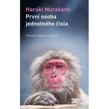 První osoba jednotného čísla