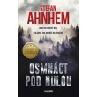 Fabian Risk 3: Osmnáct pod nulou