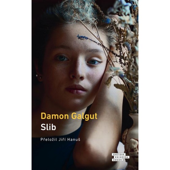 Slib