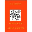 Pavouci od staré chalupy