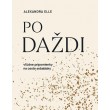 Po daždi