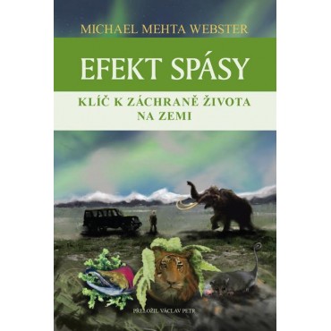 Efekt spásy