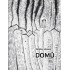Domů