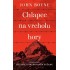 Chlapec na vrcholu hory