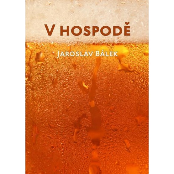 V hospodě