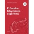 Průvodce labyrintem algoritmů
