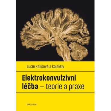 Elektrokonvulzivní léčba – teorie a praxe
