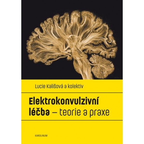 Elektrokonvulzivní léčba – teorie a praxe