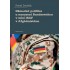 Německá politika a nasazení Bundeswehru v misi ISAF v Afghánistánu