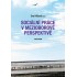 Sociální práce v mezioborové perspektivě