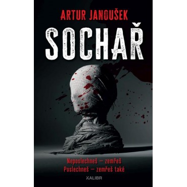 Sochař