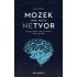 Mozek jako noční netvor