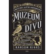 Sirotčinec slečny Peregrinové: Muzeum divů
