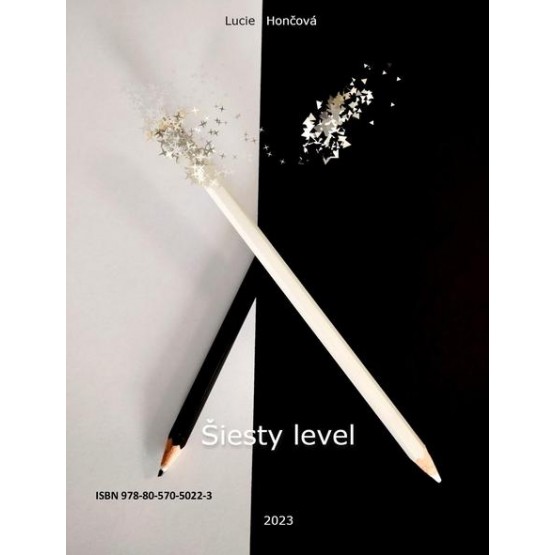 Šiesty level