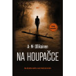 Na houpačce