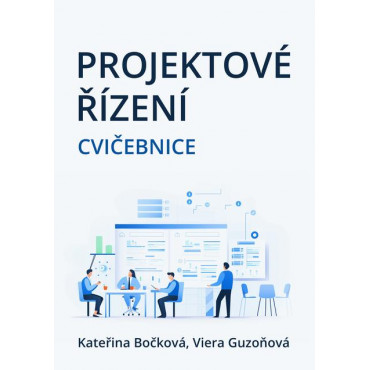 Projektové řízení