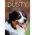 Dusty je najlepší