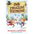 Dva strašliví vikingové