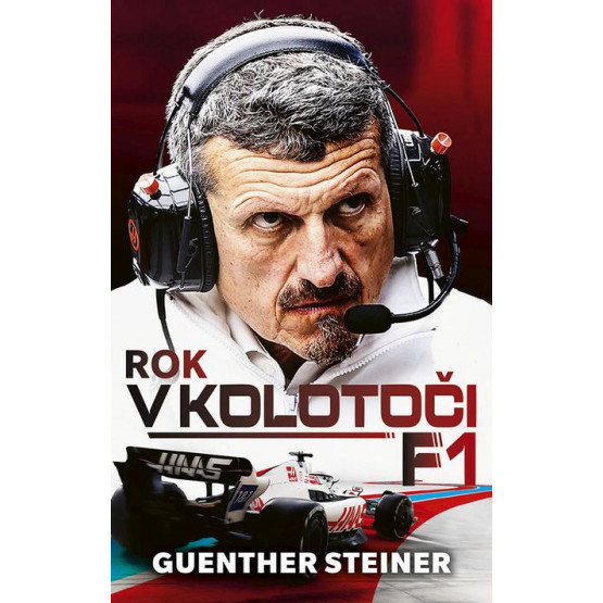 Rok v kolotoči F1