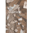 Dálnice