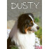 Dusty: Stratený bez stopy