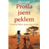 Prošla jsem peklem