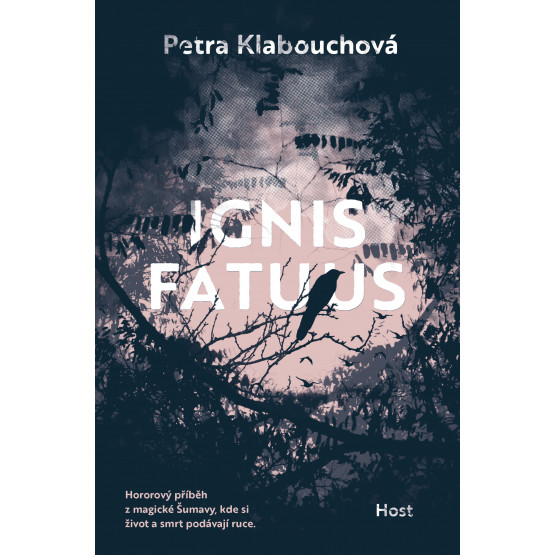 Ignis fatuus