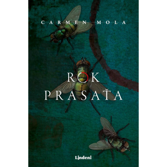 Rok prasaťa