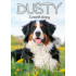 Dusty: 8