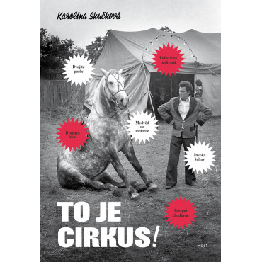 To je cirkus!