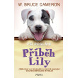Příběh Lily