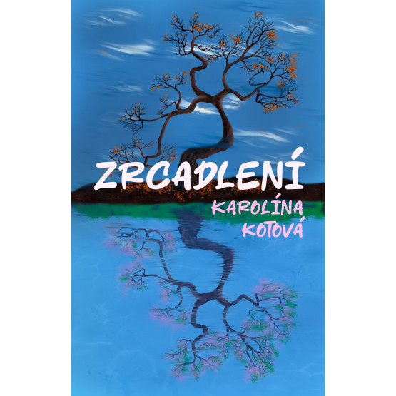 Zrcadlení
